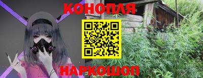 гашик Гай