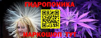круглые Гусев