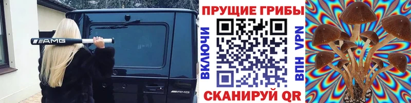 площадка наркотические препараты Кингисепп Галлюциногенные грибы мицелий