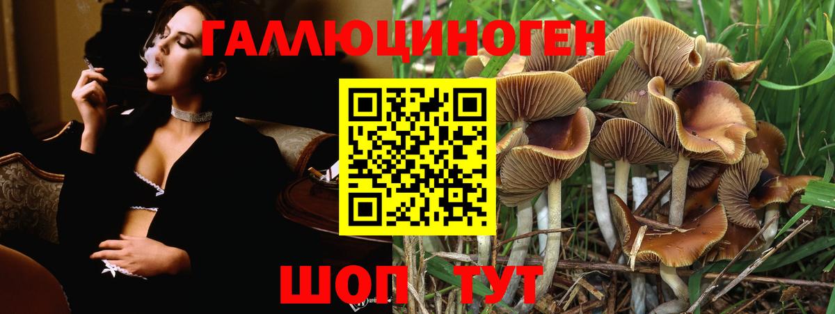 Псилоцибиновые грибы Psilocybe  Псилоцибиновые грибы мухоморы  Вход с VPN  Кингисепп 