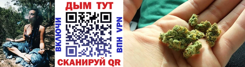 наркошоп  Кингисепп  Конопля VHQ 