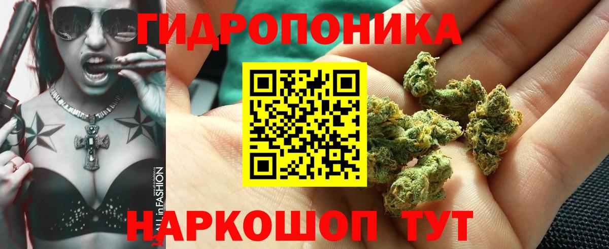 Шишки марихуана Bruce Banner  Вход с VPN  Марихуана Ganja  Бошки марихуана MAZAR  Кингисепп  Каннабис White Widow 